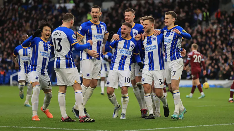 Ban lãnh đạo và các chủ sở hữu Brighton