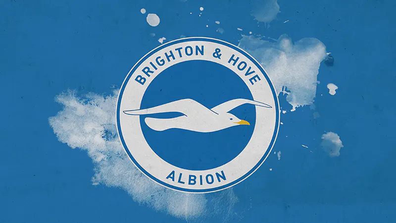 Màu sắc đặc trưng và huy hiệu của Brighton