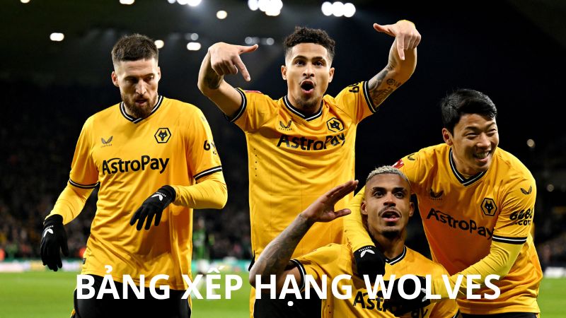 Bảng Xếp Hạng Wolves - BXH Đội Bóng Wolves 24/7