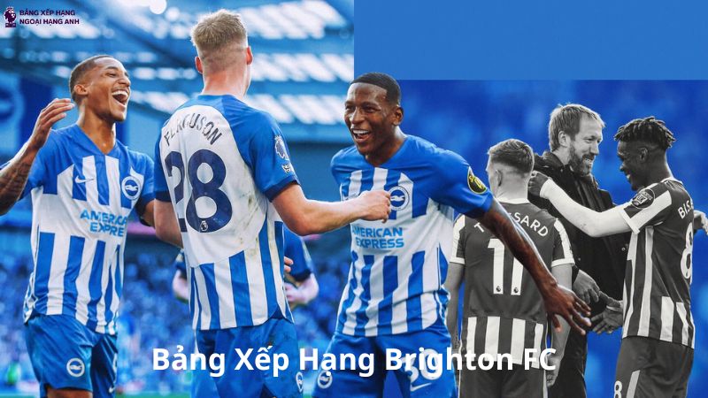 Bảng xếp hạng Brighton Premier League Cập nhật mới nhất