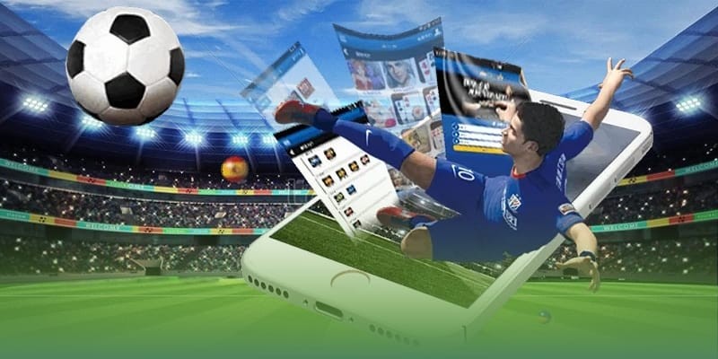 Tổng quan về thể thao Ricwin