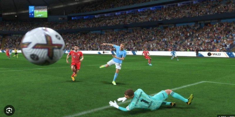 Chiến lược cá cược dựa trên dữ liệu thực tế